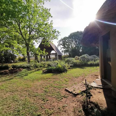 Drakensberg Bush Lodge And Backpackers Winterton Ngoại thất bức ảnh