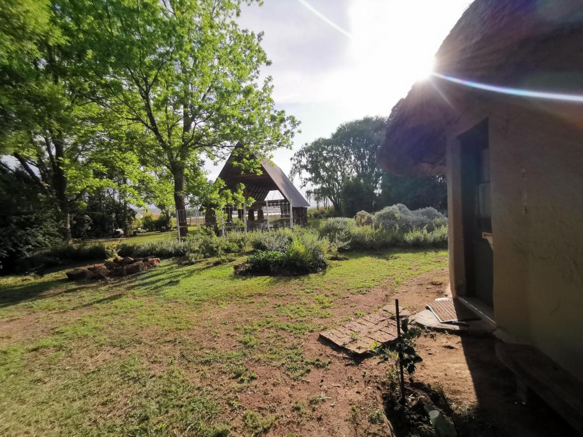 Drakensberg Bush Lodge And Backpackers Winterton Ngoại thất bức ảnh