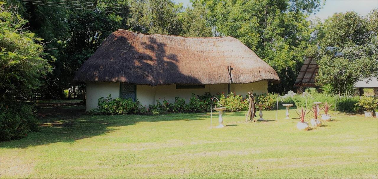 Drakensberg Bush Lodge And Backpackers Winterton Ngoại thất bức ảnh